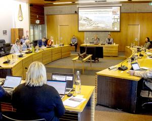 Selwyn district councillors opted to set up a new company to manage water. PHOTO: GEOFF SLOAN