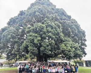 Rangiora Borough School pupils and staff under the giant redwood tree. PHOTO: SHANE BUCKNER