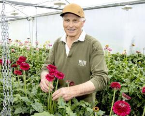 John Gunn is retiring from the flower growing business and selling the Horotane Valley farm...