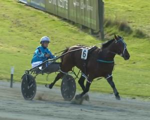 Jumal, with Samantha Ottley at the reins, winds down having won the Diamond Creek Farm Classic at...