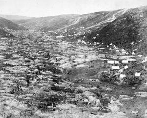 In 1863, Gabriel’s Gully was a sea of tents as the miners dug into their allotted holdings. Photo...