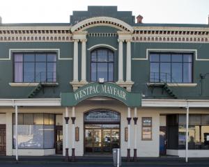 The Dunedin Theatre Network has presented the city council with revitalisation plans for the...