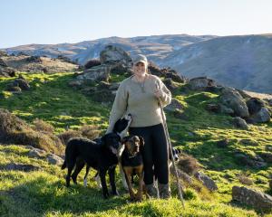 Southern shepherd Erin Chittock uses dogs for both work and sport. PHOTO: ANNA MUNRO