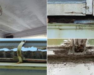 A family that lived in a badly maintained rental home were frequently sick with respiratory...