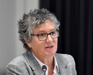 Dunedin City Council chief executive Sandy Graham has repeatedly described councillors as "f.....
