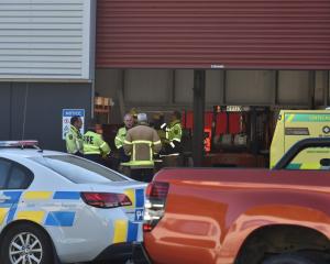 Emergency services at the scene at Scott Technology. Photo: Gregor Richardson