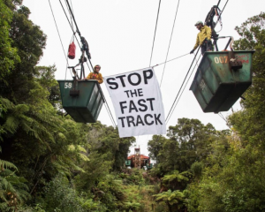 Some of the protesters have climbed into cable cars used to transport coal at Stockton mine....