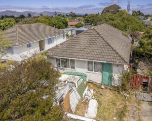 The three-bedroom South New Brighton home fetched $368,000 at auction. The house was sold “as is,...