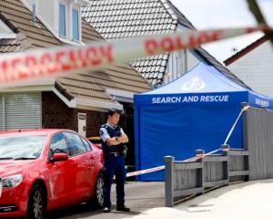 A man has admitted murdering an Auckland couple in their home during an incident in November 2023...