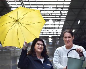 Dunedin Netball general manager Lee-Anne Anderson (left) and Basketball Otago general manager...
