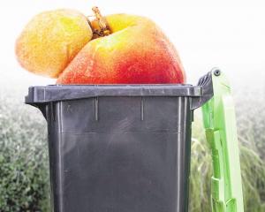 A lot of food waste happens at the source, when the likes of misshapen fruit or vegetables are...