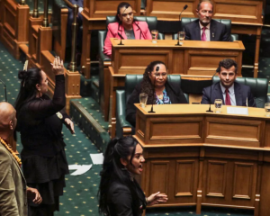 Te Pāti Māori's Hana-Rawhiti Maipi-Clarke (right) interrupted the vote on the Treaty Principles...