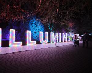 An installation at the Illuminate Light and Sound Experience show in Christchurch last year....