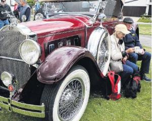 A community picnic in January this year was one of many organised by the Waiora Links Community...