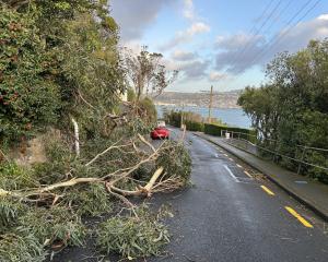Tree branches down on Doon St in Waverley after strong winds hit Dunedin overnight. Photo: Gregor...