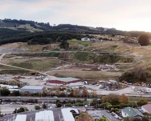 The Burnside tip also runs alongside the Kaikorai Stream. Photo: Stephen Jaquiery