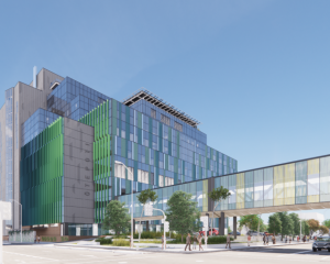 Health NZ has released the breakdown in bed numbers for the new Dunedin Hospital. Image supplied