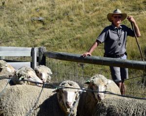 Earnscleugh Station co-owner Alistair Campbell at the Omakau Earnscleugh Collie Club’s annual...