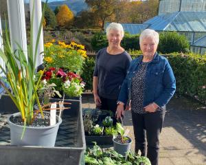 Friends of the Dunedin Botanic Garden vice-president Jocelyn Livesey (left) and committee member...
