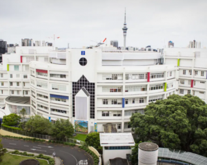 A child died on Monday at Starship children's hospital after undergoing surgery at a private...