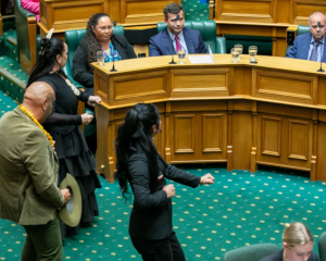 Te Pāti Māori MPs , Debbie Ngarewa-Packer, Rawiri Waititi and Hana-Rawhiti Maipi-Clarke face ACT...