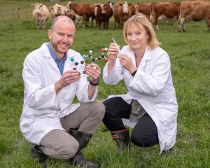 University of Otago researchers Dr Allan Gamble and Prof Sarah Hook are re-engineering...