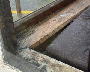 Hundreds, if not thousands, of Dunedin renters are living in cold, damp and mouldy houses. PHOTO:...