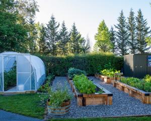 Gardening enthusiasts have made a communal space at Aurum on Clutha their own, impressing a...