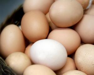 eggs.jpg