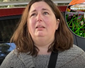 Erin Patterson, who cooked the deadly meal. Photo: Supplied 