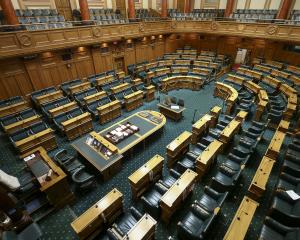 Parliament can do without the Regulatory Standards Bill, Anaru Eketone says. PHOTO: GETTY IMAGES