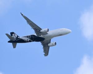 An Air New Zealand plane landed safely despite Fire and Emergency being on standby at Hawke's Bay...