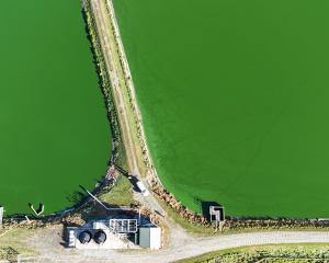 The Gore wastewater treatment plant was affected by an algae bloom in early March. PHOTOS: AME...