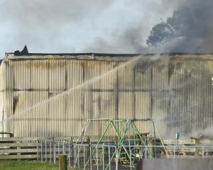 Firefighters attend a shed fire at a property in Bush Rd, Green Island, on May 8. PHOTOS: GREGOR...