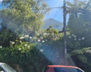 Helen Gregory was found dead at her home in the Wellington suburb of Khandallah. Photo: RNZ /...