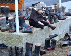 Wilbur Mee, 2, of Hindon, hunts for his Red Band gumboot after dropping it outside the Hindon...
