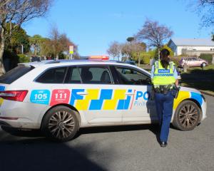 Police were armed in Invercargill yesterday, looking for a person seen holding what was thought...