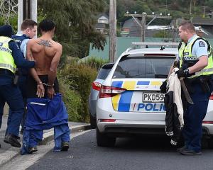 A gardener being handcuffed after he was spotted carrying a machete in Opoho yesterday. Photo:...