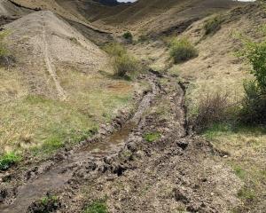 Off-road vehicle damage at Macetown Historic Reserve. PHOTO: DOC