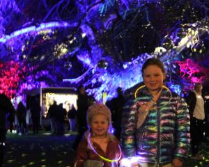 Inky Eyles, 3, and Lily Hughes, 8, enjoy the lights at Kāhui Whetū in the Gore Gardens last night...