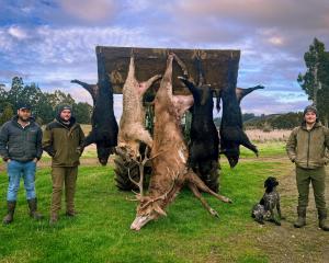 With a gigantic Red Stag as part of their entry, alongside four chunky wild pigs, Team Outdoors...
