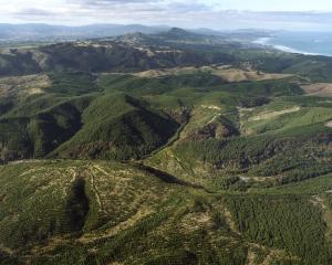 Smooth Hill. PHOTO: STEPHEN JAQUIERY

