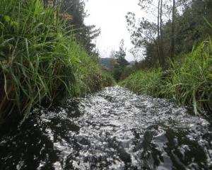 The department wants people's thoughts on the Government's proposed plan to clean up waterways....
