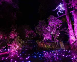 One of the displays at this year's ‘Luma Enchanted’ light show at Queenstown’s Kiwi Park. PHOTO:...