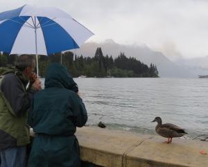 Good month for ducks: Queenstown’s just experienced the second-wettest September in almost 60...