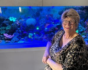 Westland mayor-elect Jacquie Grant at home in Hokitika with her menagerie of fish and live coral....