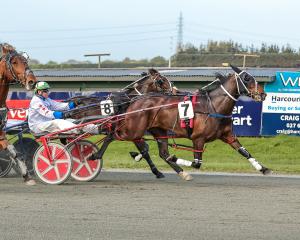 Rakavenom will be looking to back up from this impressive victory on October 16. PHOTO: MONICA...
