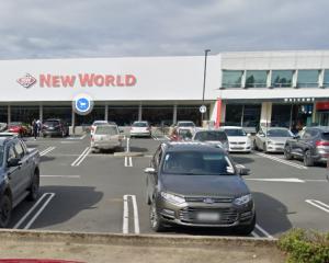 The alleged theft happened at Mosgiel New World. Photo: Google Maps