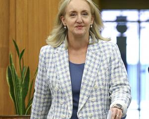 Former environment minister Amy Adams has been appointed as Crown facilitator to Waitaki District...