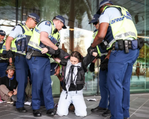 Several protesters were carried away by police. Photo: RNZ / Nathan Mckinnon